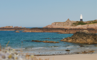 A Hand Picked Island Summer